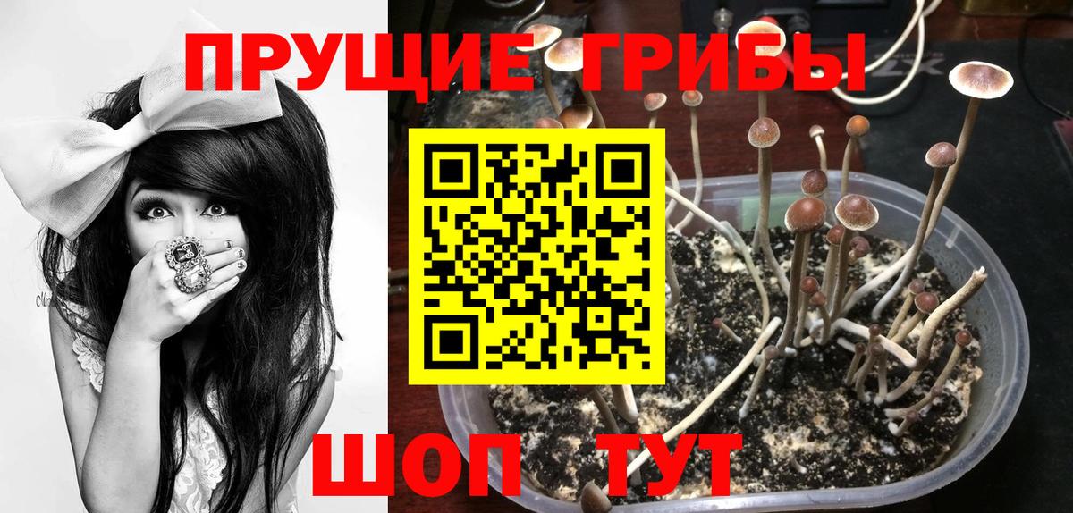 Галлюциногенные грибы мухоморы  Псилоцибиновые грибы Psilocybe  Сатка  Вход с VPN 